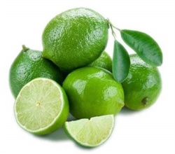 Çekirdeksiz Lime Fidanı